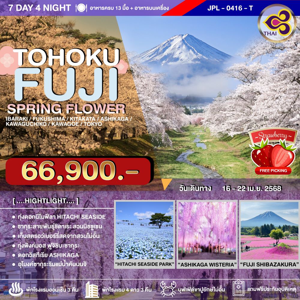 ทัวร์ญี่ปุ่น TOHOKU FUJI SPRING FLOWER 7วัน 4คืน (TG)