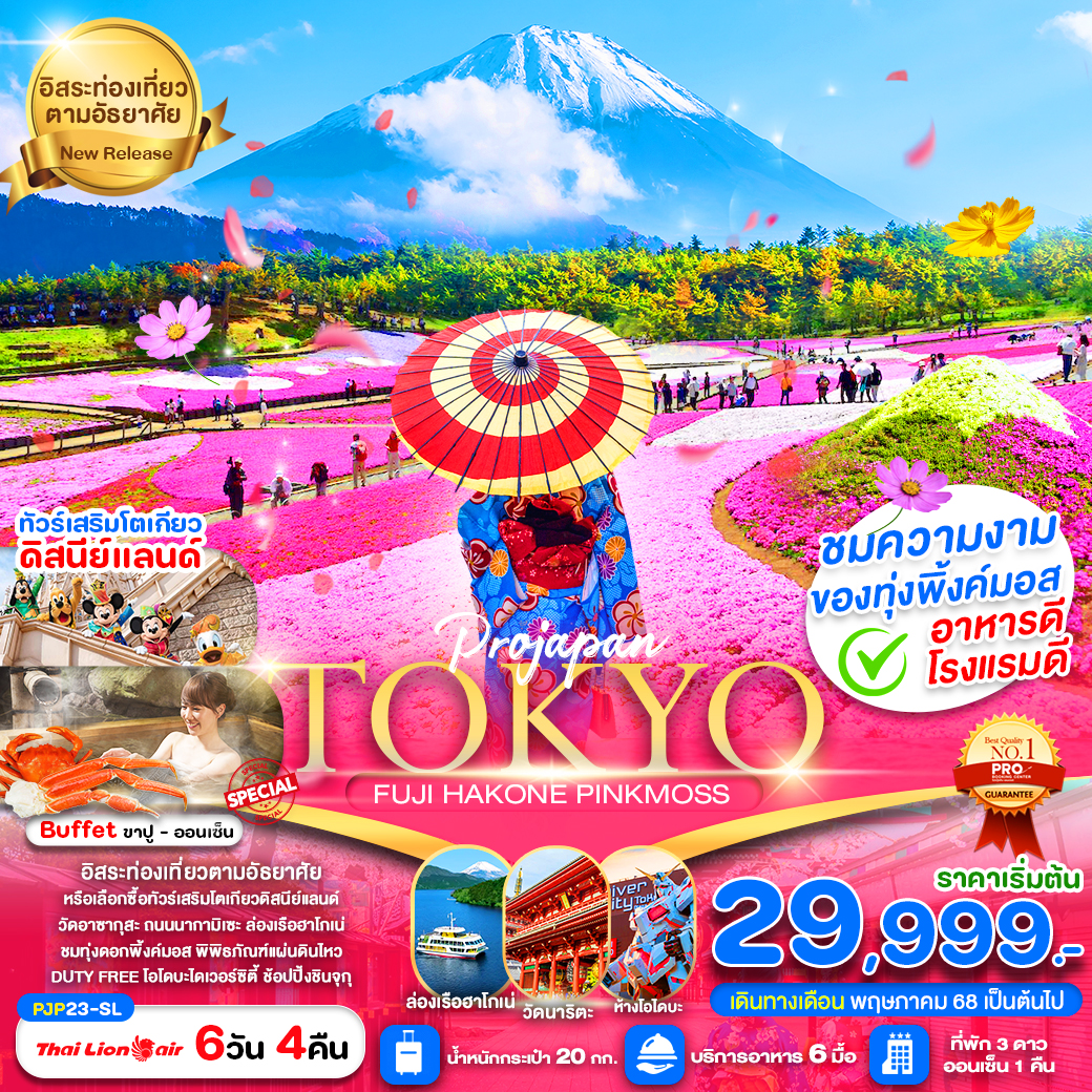 ทัวร์ญี่ปุ่น TOKYO FUJI HAKONE PINK MOSS 6วัน 4คืน (SL)